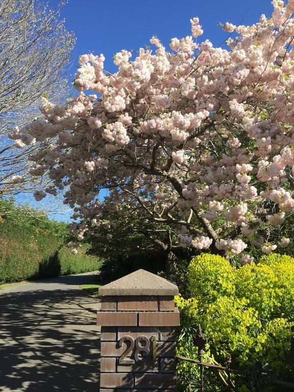 Отель Rhododendron Garden Крайстчёрч Экстерьер фото