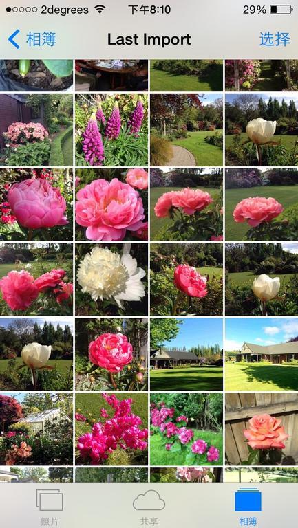 Отель Rhododendron Garden Крайстчёрч Экстерьер фото